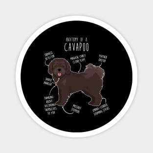 Chocolate Cavapoo Dog Anatomy Magnet